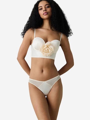 Penti Klasičen Nedrček 'BHs & Bralettes' | bež barva: sprednja stran