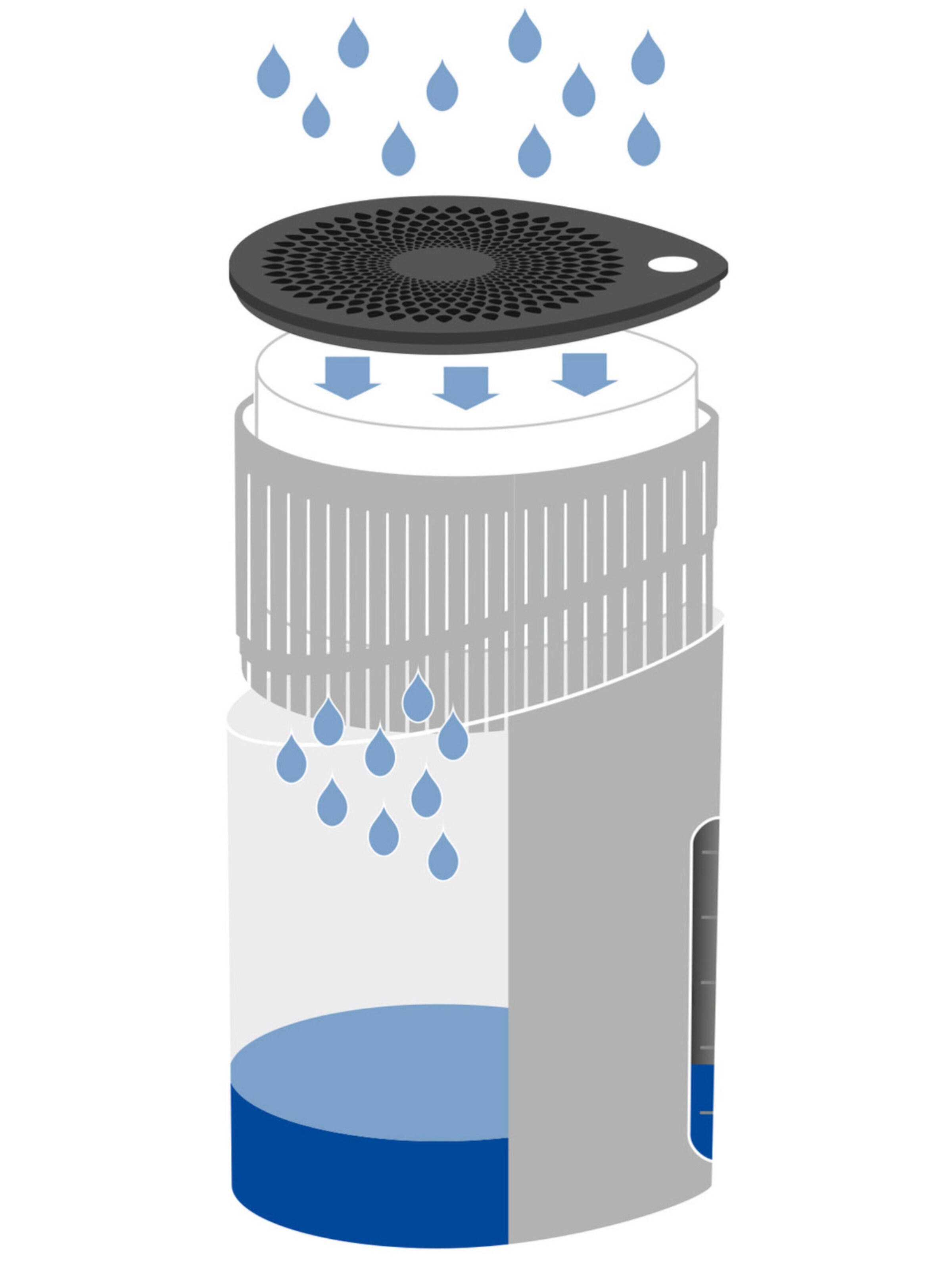 Wenko Raumentfeuchter  'Drop' in Pink