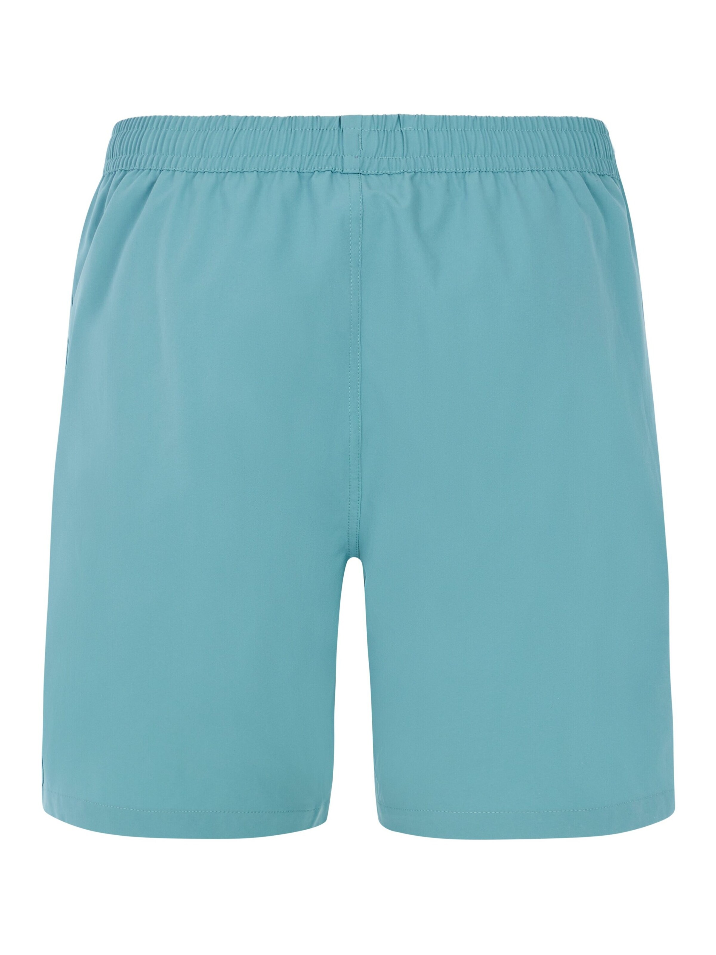 PROTEST Swimming shorts 'PRTBaky' in Green