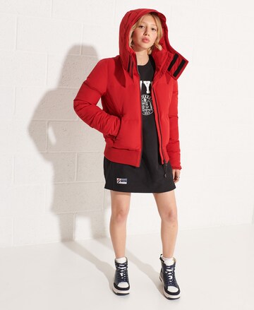 Superdry Winter Jacket 'Everest' in Red