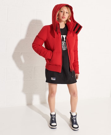 Superdry Winter Jacket 'Everest' in Red
