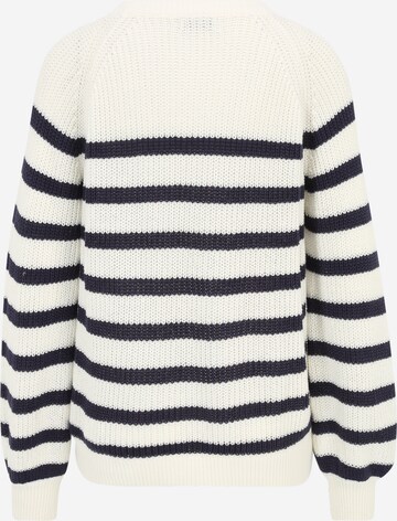 Wallis Petite Sweter w kolorze beżowy