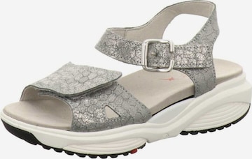 Sandales 'Sandale Damen Syros salie Echtleder in silber' Xsensible en argent : devant