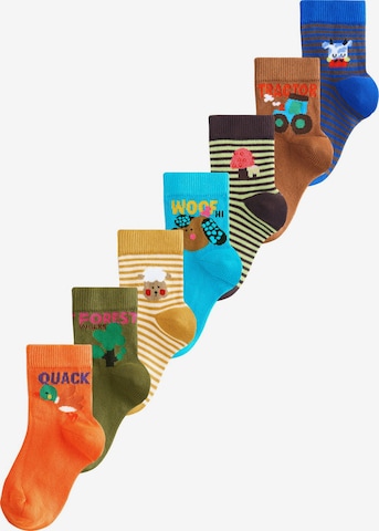 Next Sukat värissä monivärinen: etupuoli