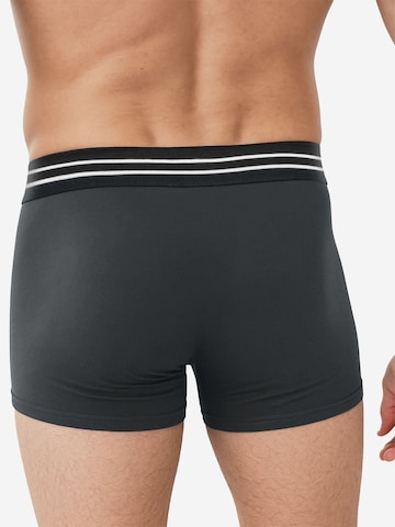 Boxers ' Cotton Stretch ' Nur Die en gris