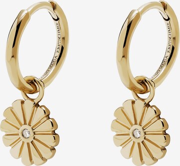 Guido Maria Kretschmer Jewellery Earrings in Gold: front