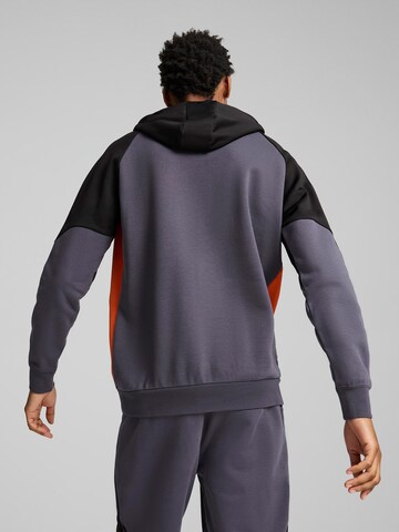 Sweat-shirt PUMA en gris