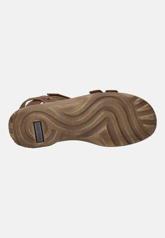 JOSEF SEIBEL Sandal 'Debra 62' in Brown