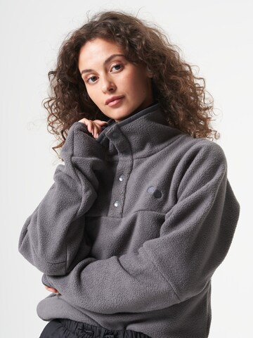 pinqponq Pullover in Grau