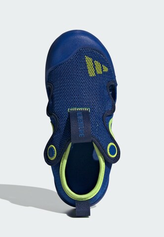 ADIDAS SPORTSWEAR Sandals in Blue