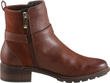 TAMARIS Ankle Boots in Brown