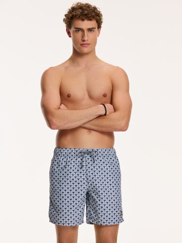 Shiwi Board Shorts in Blue: front