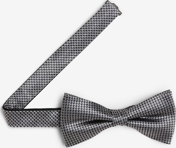 OLYMP Bow Tie in Grey
