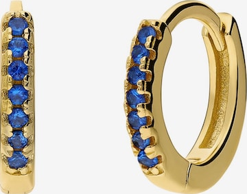 Boucles d'oreilles Lucardi en or : devant