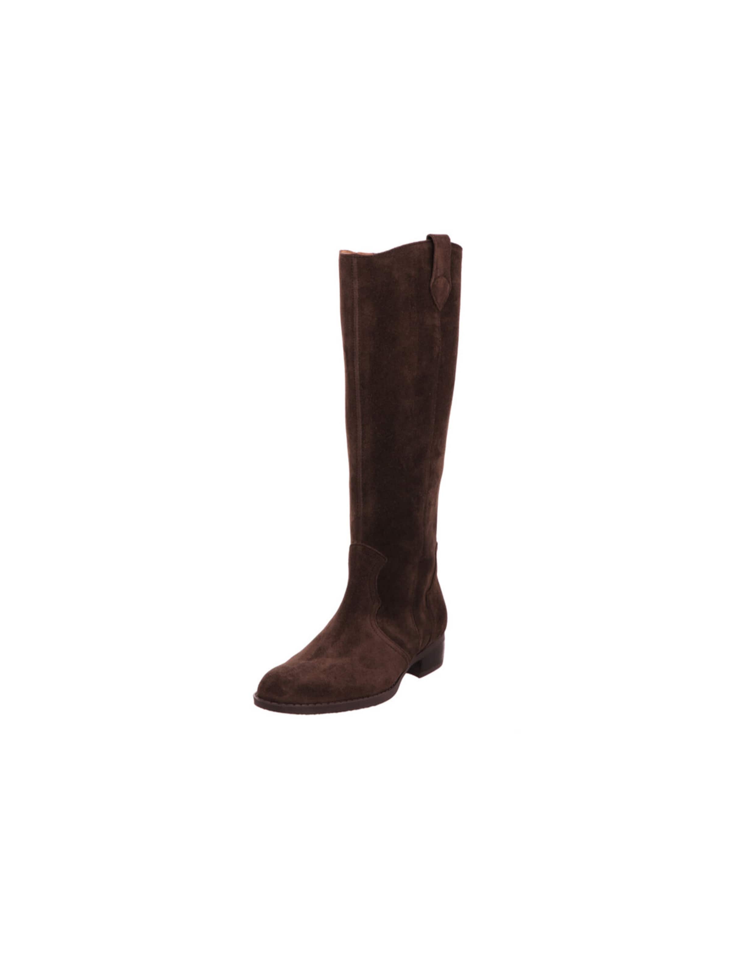 GABOR Ankle Boots in Brown: front