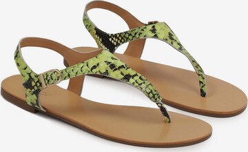 Kazar T-bar sandals in Green