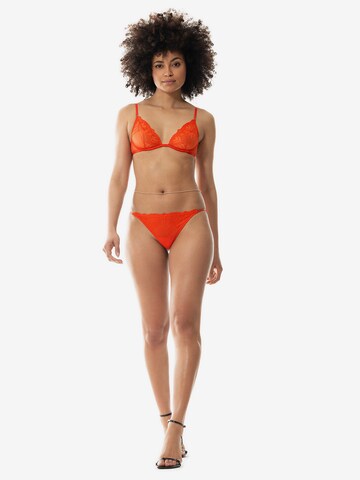 Mey Triangle Bra in Orange