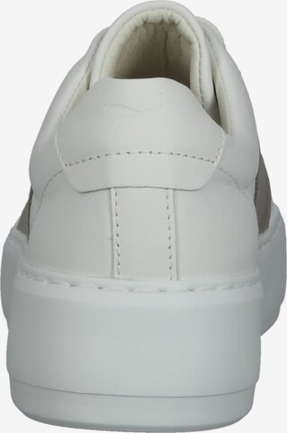 Sneaker bassa 'Antonia' di BRAX in bianco