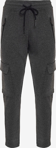 Anou Anou Regular Gargohousut värissä harmaa: etupuoli