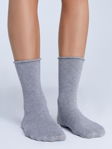 Albero Natur Socken 'Bio-Baumwoll-Socken mit Rollrand Unisex – 2er Pack'‌‌‌‌‌‌‌‌‌‌ in Grau: Vorderseite