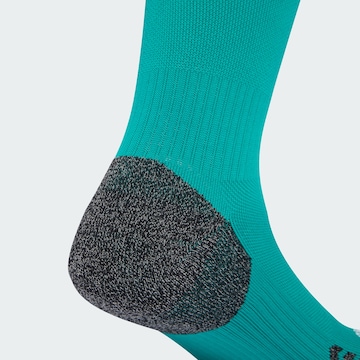 Calzino sportivo 'FC Liverpool 25/26' di ADIDAS PERFORMANCE in verde