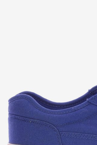 DC Shoes Sneaker 43 in Blau