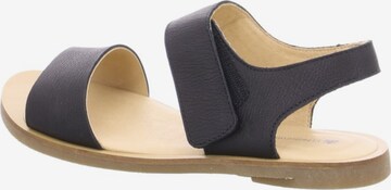 EL NATURALISTA Sandals in Black