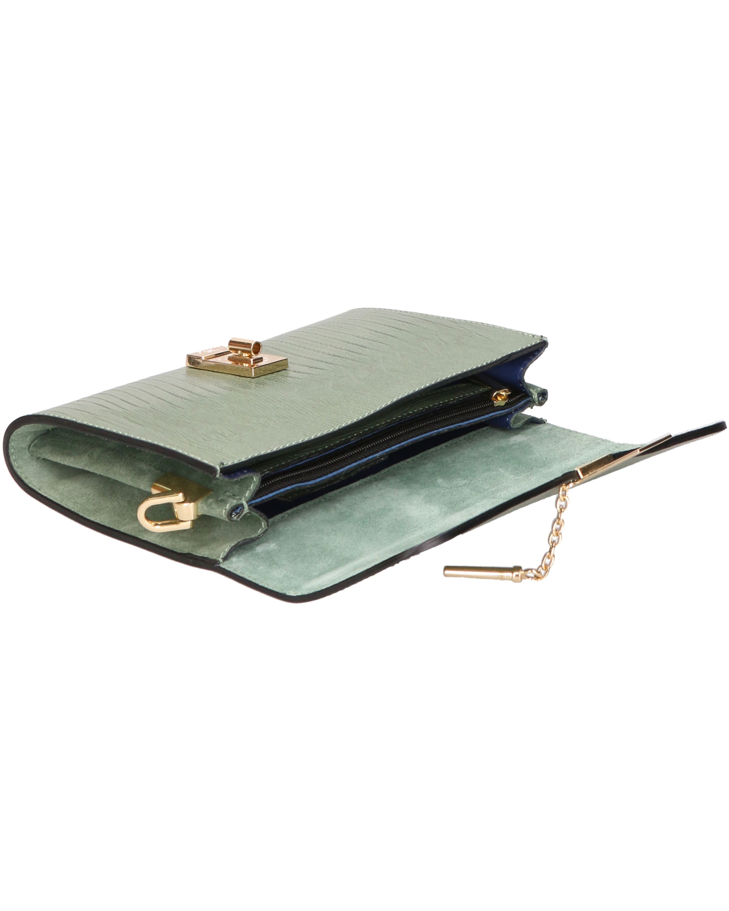 Viola Castellani Crossbody bag in Green
