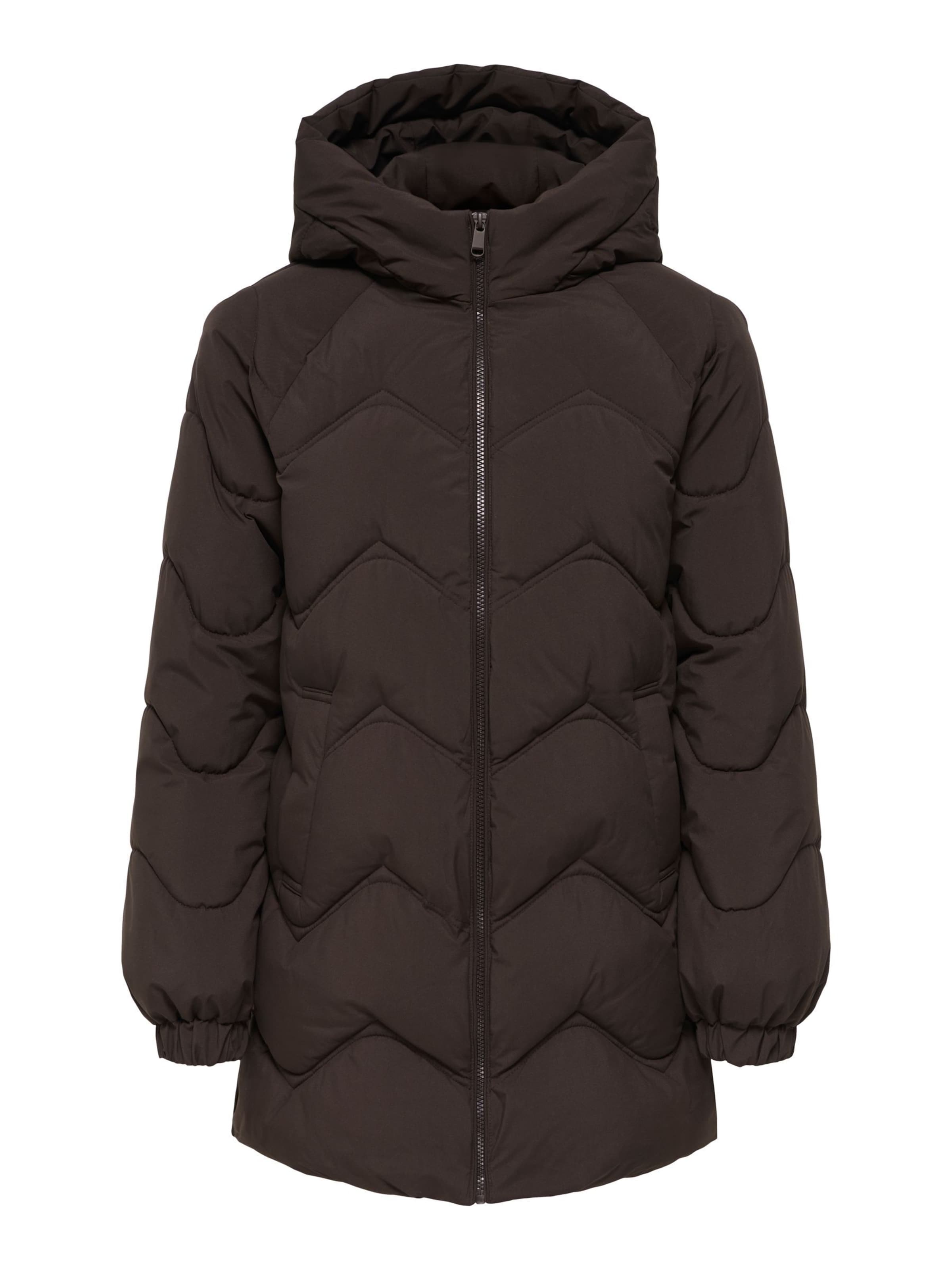 JDY Winter jacket 'JDYPower' in Brown: front