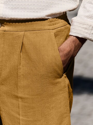 Next Regular Pleated Pants in Brown