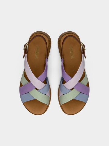 Sandales GABOR en mélange de couleurs