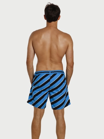 wavebreaker Zwemshorts in Blauw