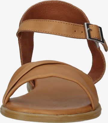 ILC Sandalen met riem in Bruin