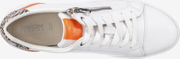 GEOX Sneaker 'Blomiee' in Weiß