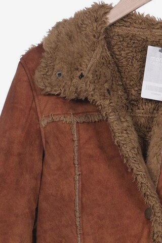 Gipsy Jacket & Coat in L in Brown