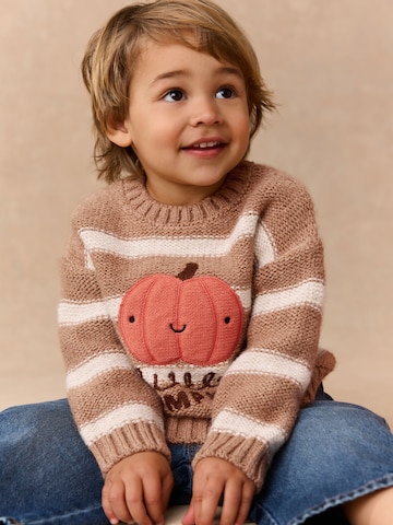 Pullover 'Halloween' di Next in marrone