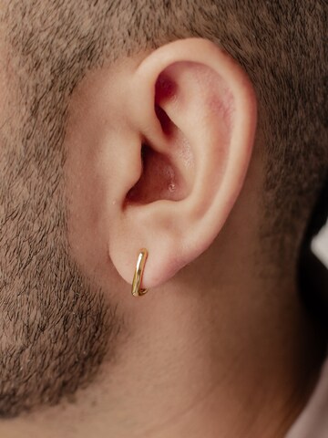 Hey Happiness Oorbel 'Oval Hoop' in Goud