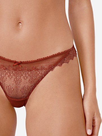 ETAM String in Braun