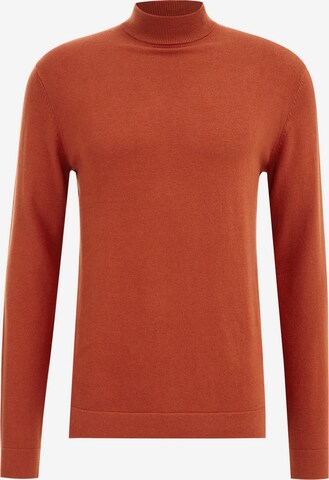 WE Fashion Pullover in Braun: predná strana