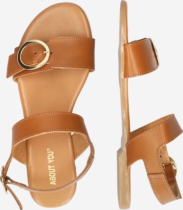 ABOUT YOU Sandalen met riem 'Veronika' in Bruin