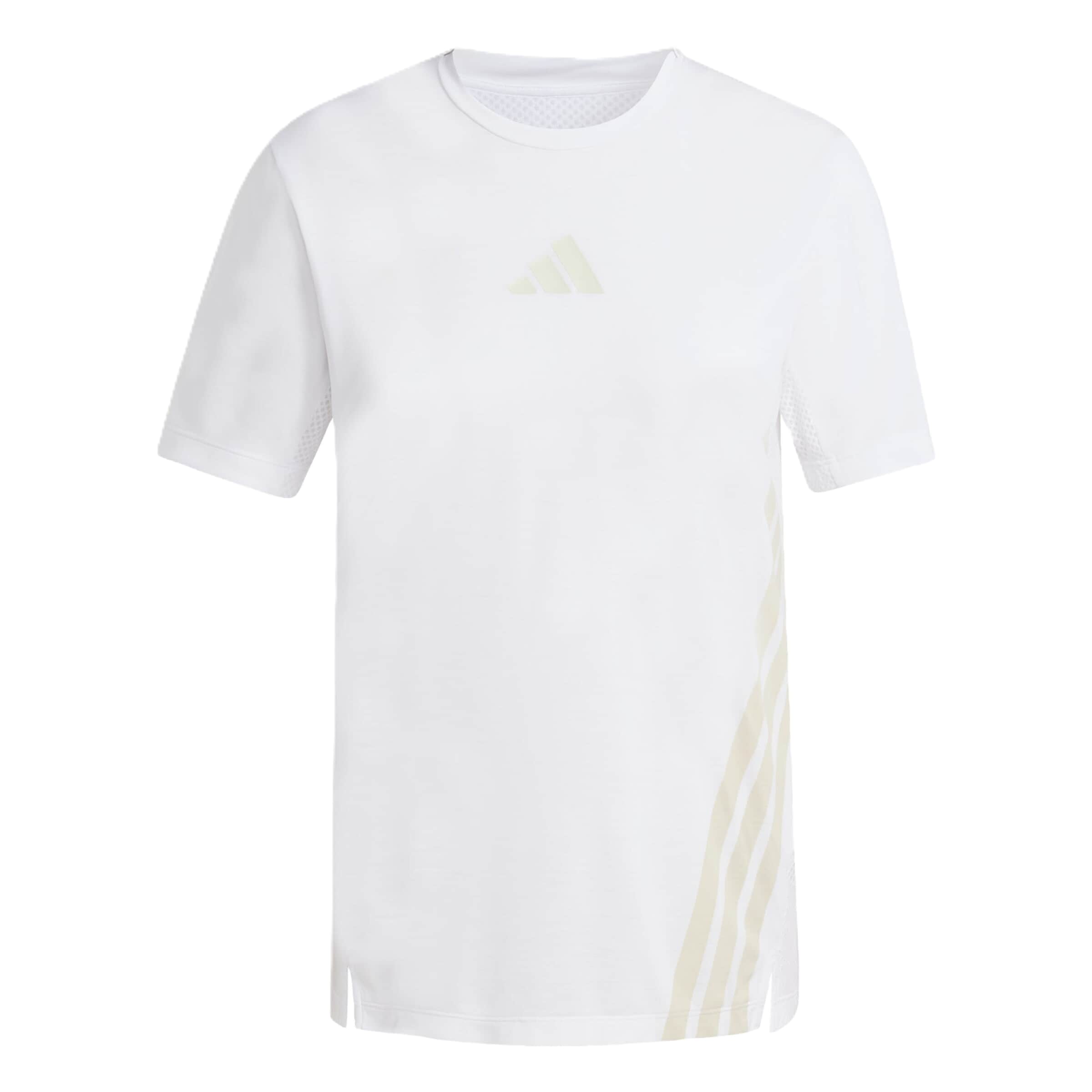 ADIDAS TERREX Functioneel shirt 'Xperior' in Wit: voorkant