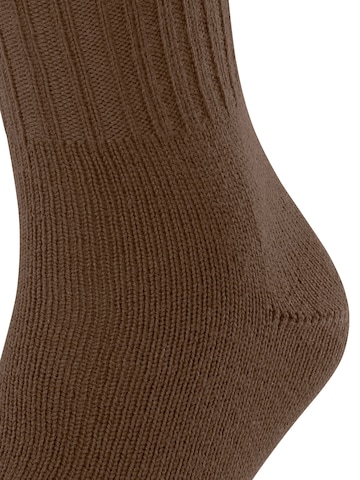 FALKE Socks 'Nelson' in Brown: front