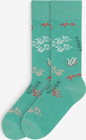 Von Jungfeld Socks 'Signature Icons' in Green: front