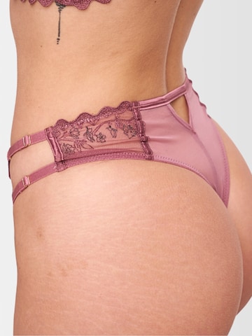 String DOUVOS CONTOUR en or