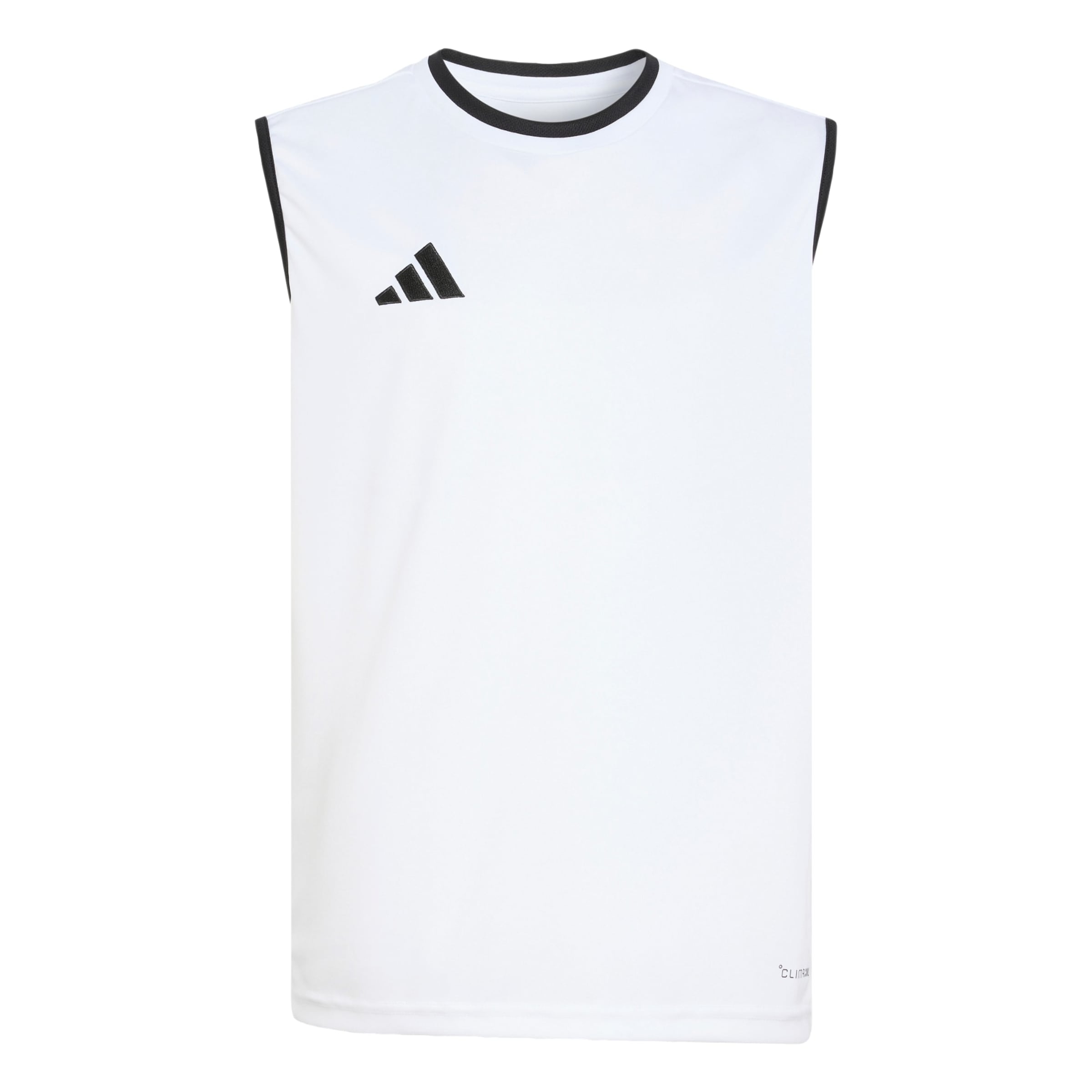 ADIDAS PERFORMANCE Performance shirt 'Entrada26' in White: front