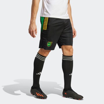 ADIDAS PERFORMANCE Regular Sportbroek in Zwart: voorkant