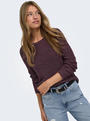 ONLY Sweater 'ONLGEENA' in Brown
