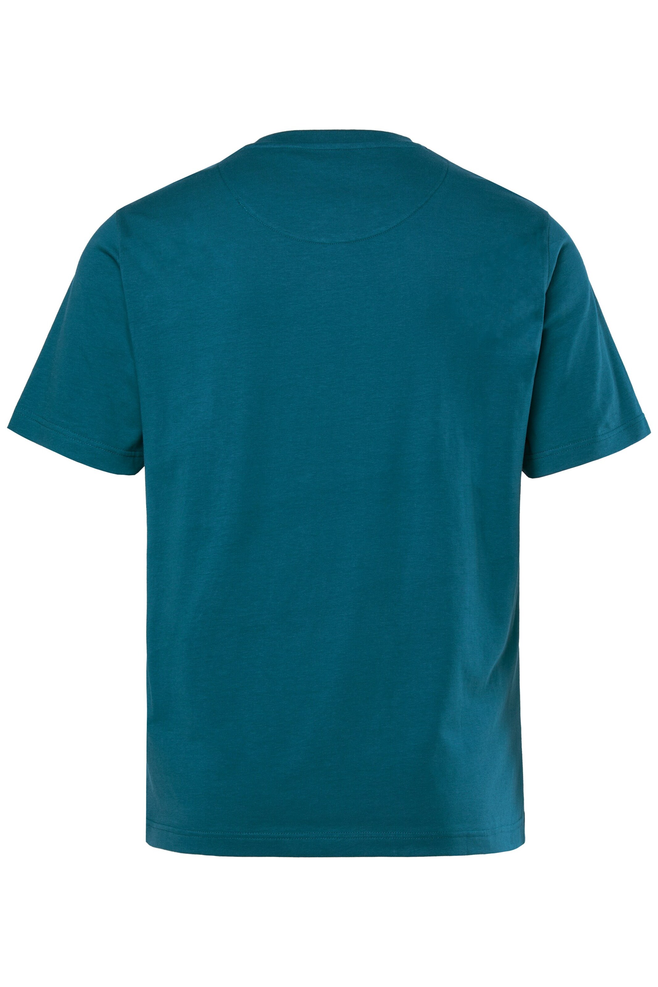 Men Plus T-Shirt in Blau