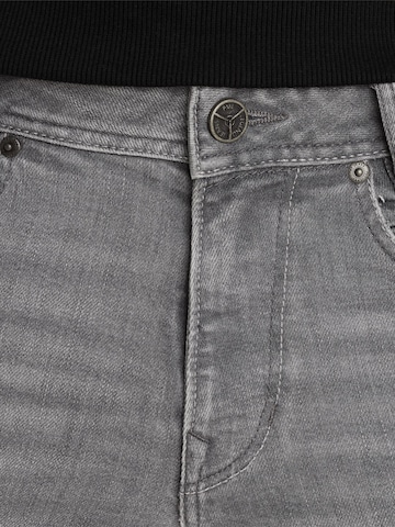 regular Jeans 'Skyrak regular fit jeans' di PME Legend in grigio
