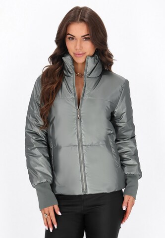 faina Winter jacket in Grey: front